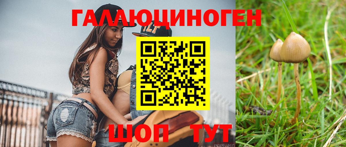 Галлюциногенные грибы прущие грибы Тверь
