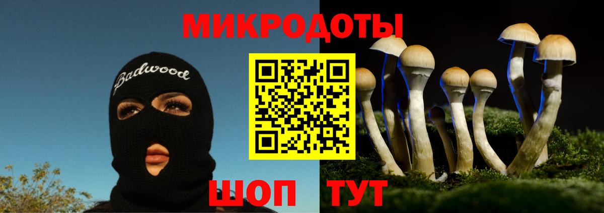 Тверь  Галлюциногенные грибы MAGIC MUSHROOMS  Вход с VPN  Псилоцибиновые грибы GOLDEN TEACHER 