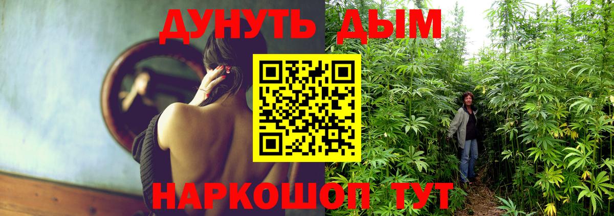 Конопля Amnesia Тверь
